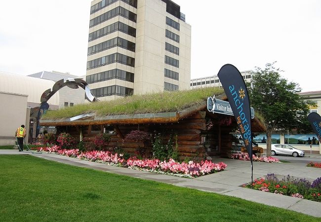 アラスカクルーズ：ゆっくりと流れる景観が時間を忘れさせてくれる旅 - NewSphereSignpost