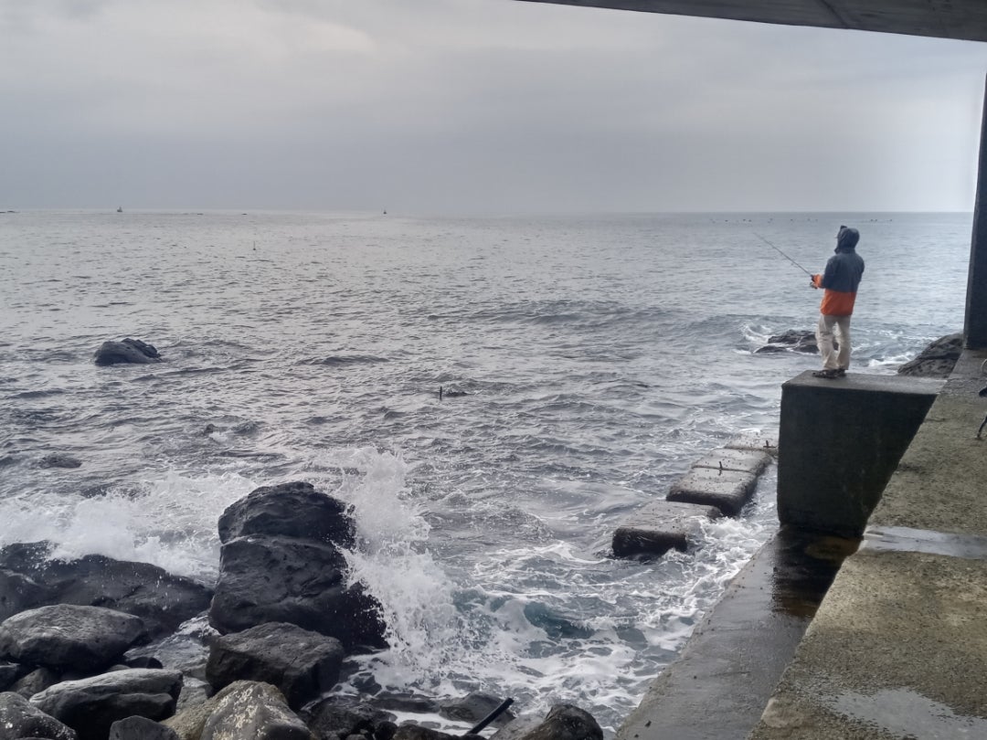 神奈川県・真鶴半島のメジナ釣り全国おすすめ釣り場