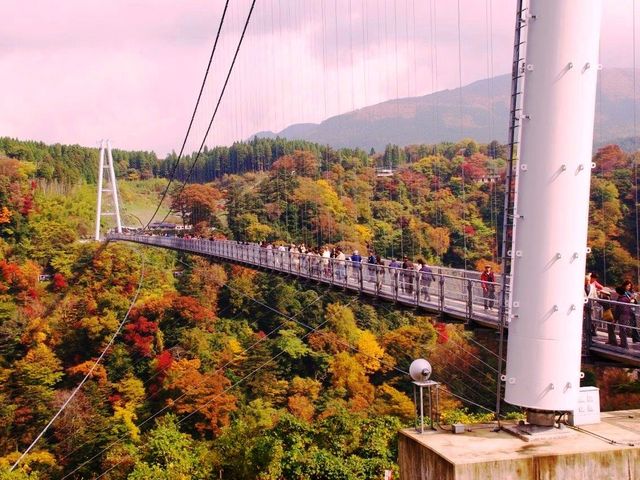 くじゅう 九重”夢”大吊橋へGO！ 周辺スポットもチェック