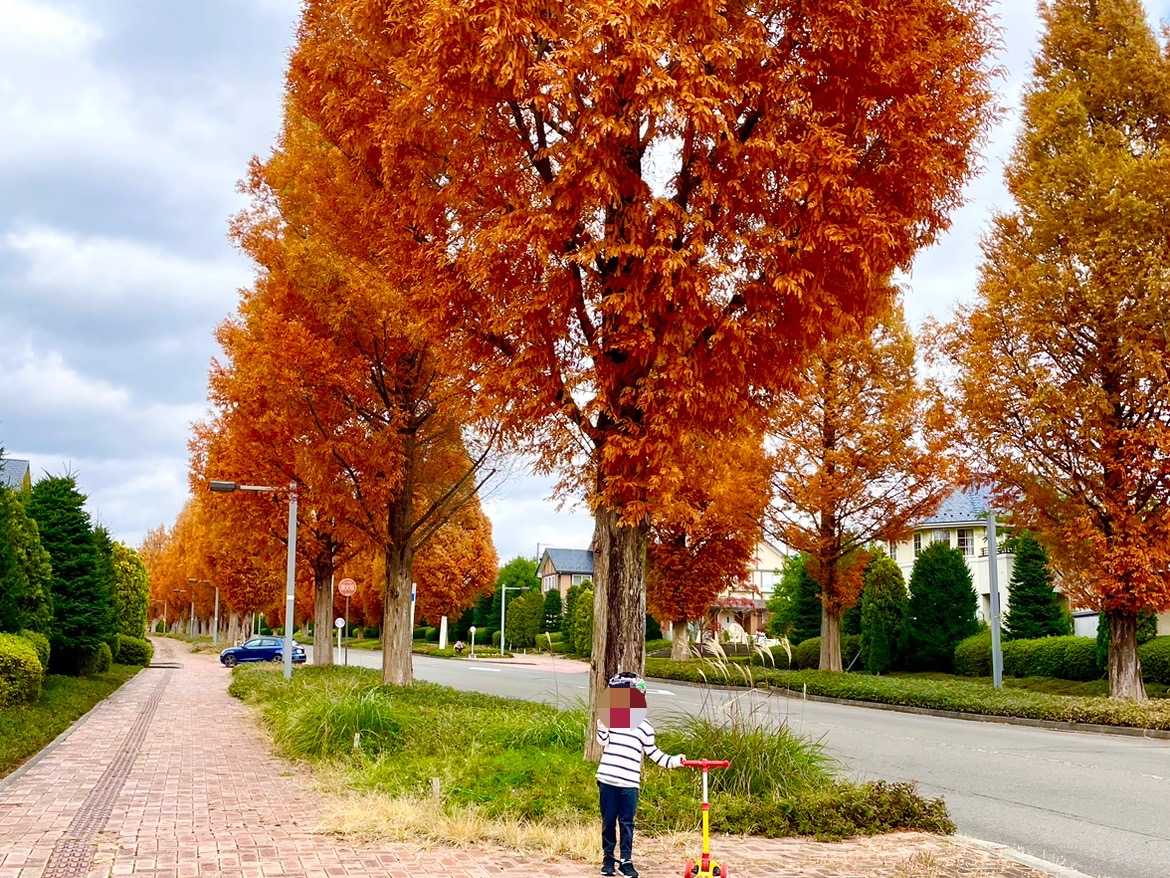あのタイガーバームガーデンが帰ってきました！香港ナビ