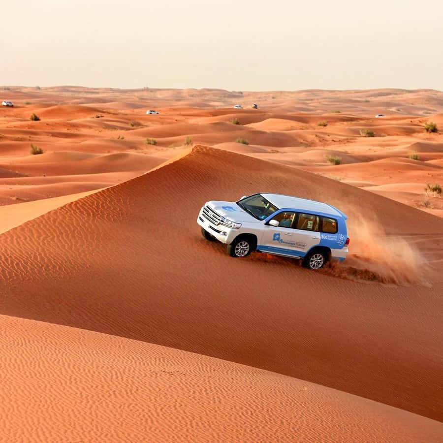 モーニングデザートサファリツアー アブダビKlook