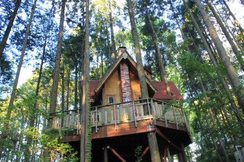 オートキャンプ那珂川ステーションオートキャンプ場マップソニー損保 × MAPPLE