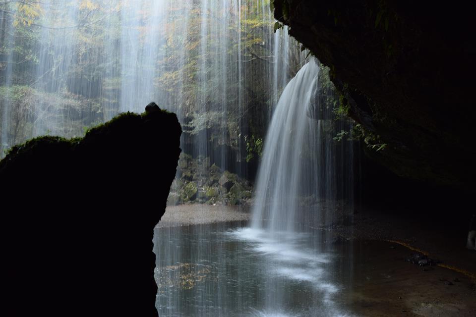 この夏行きたい熊本県内の避暑地 10選・ 2024年度版「くまノート」