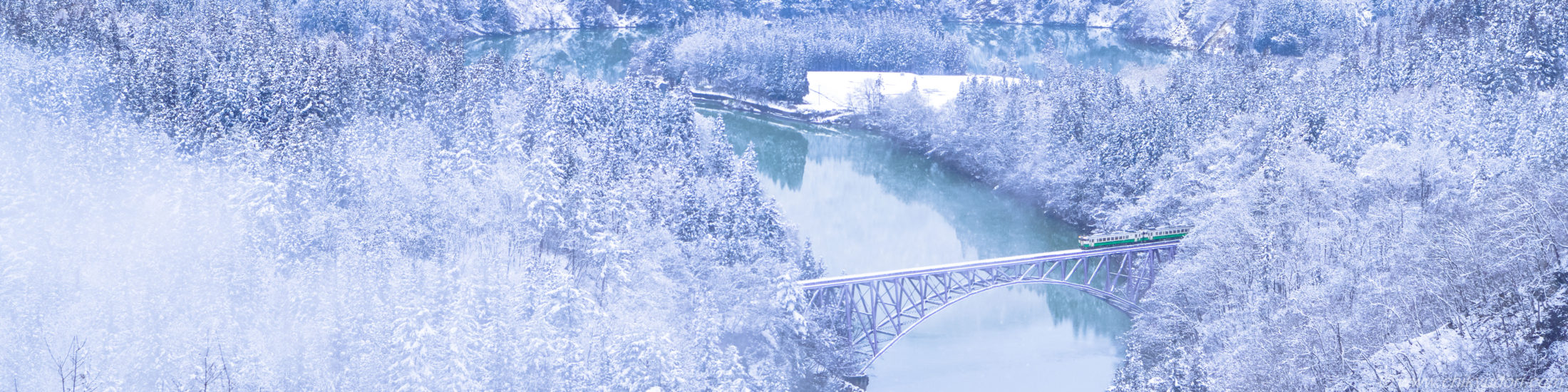 根津神社 千本鳥居 - 自転車親父のへっぽこ写真日記 ２
