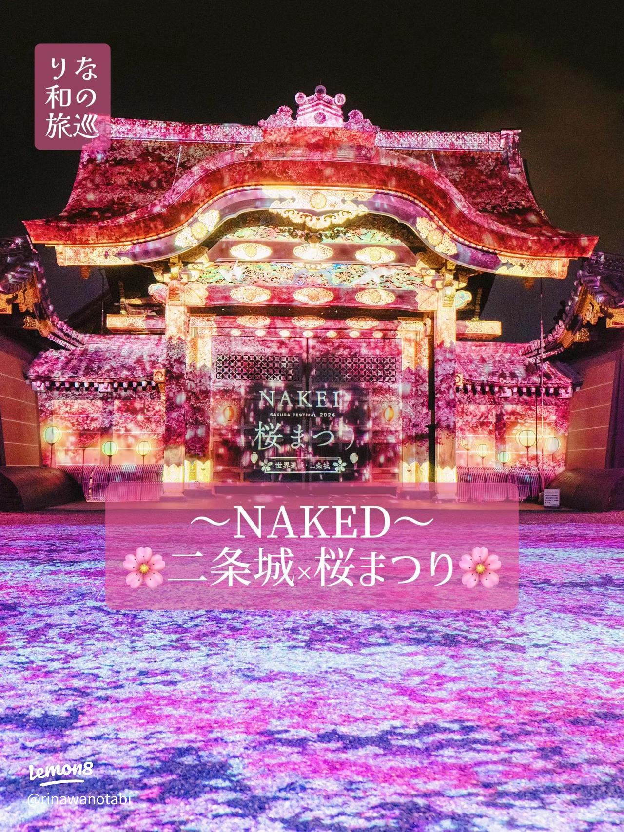 元離宮二条城の桜 開花・ライトアップ情報京都の桜 2025京阪グループ