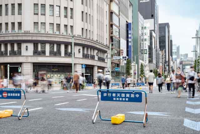 冬の訪れ感じ、物思いにふける 歩きたい並木道10選 -