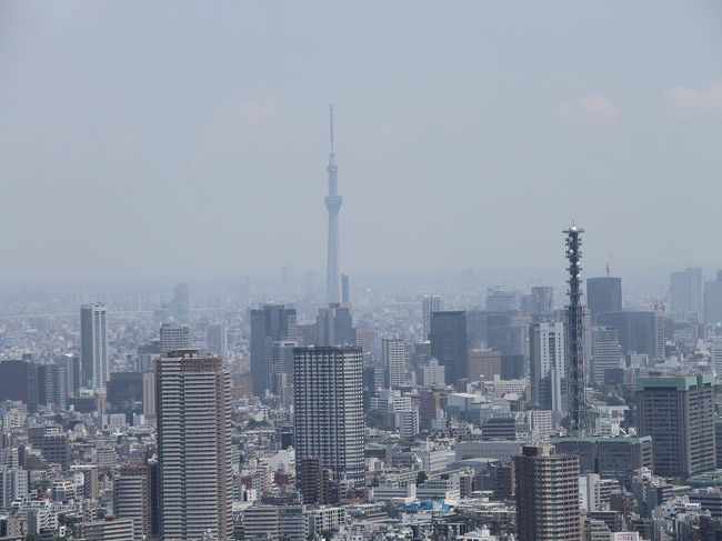東京タワーに迫る 日本で一番高いビルは何メートル？ 麻布台に今秋開業＜深掘りこの数字＞：東京新聞デジタル