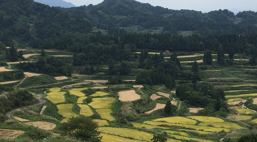 現実離れした景色！新潟の絶景撮影スポット 星峠 の棚田
