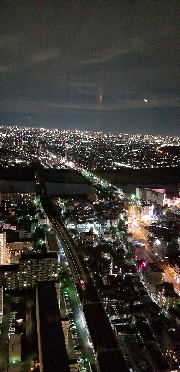 矢切富士見公園の夜景千葉県松戸市-こよなく夜景を愛する人へ