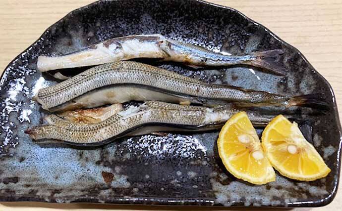 浜田港☆のんびりキス釣り♪釣具・えさの販売のアングルグループ
