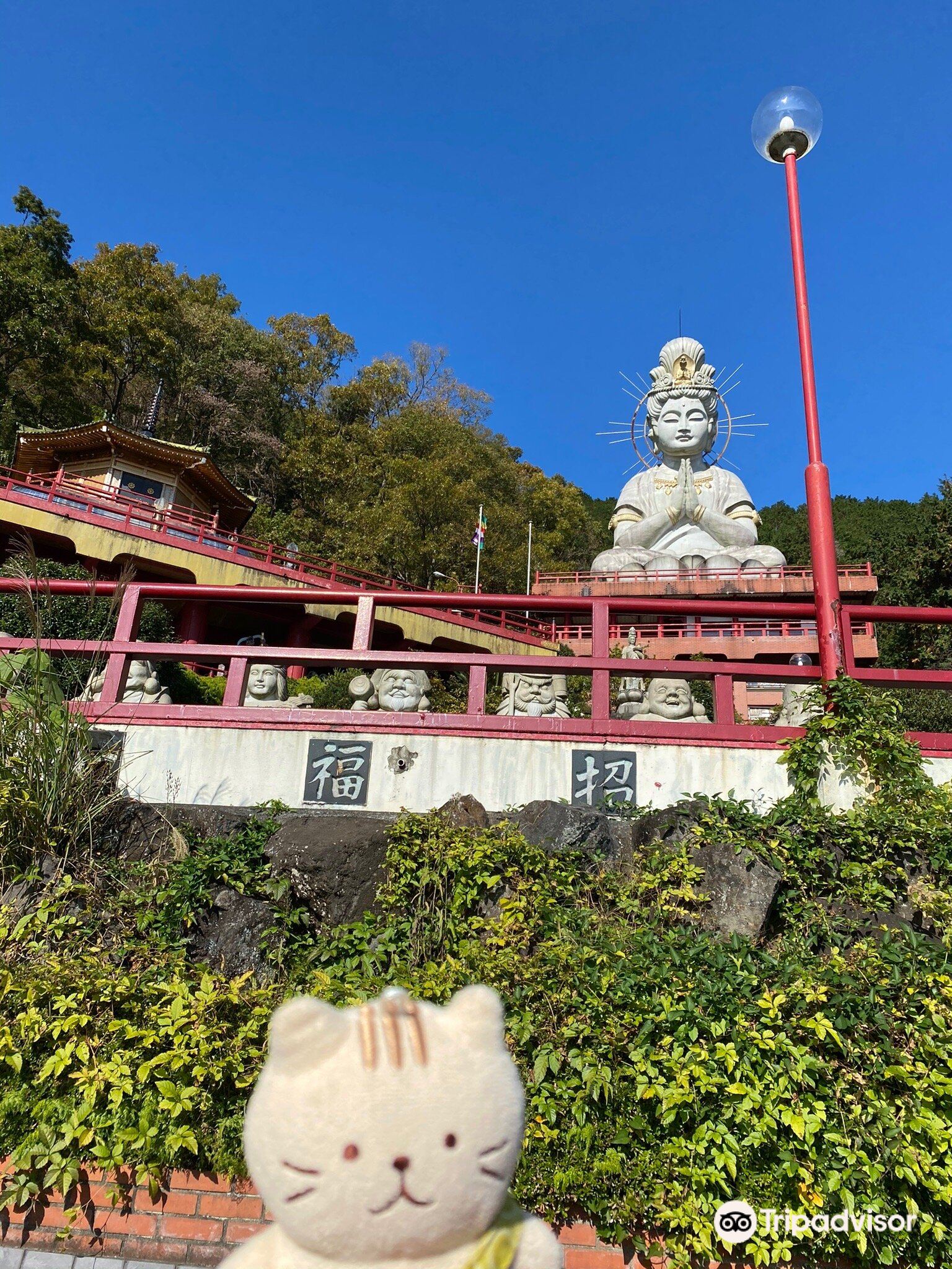 掛け軸 うさみ観音寺山主大僧正『寿福 二字書』仏書 紙本