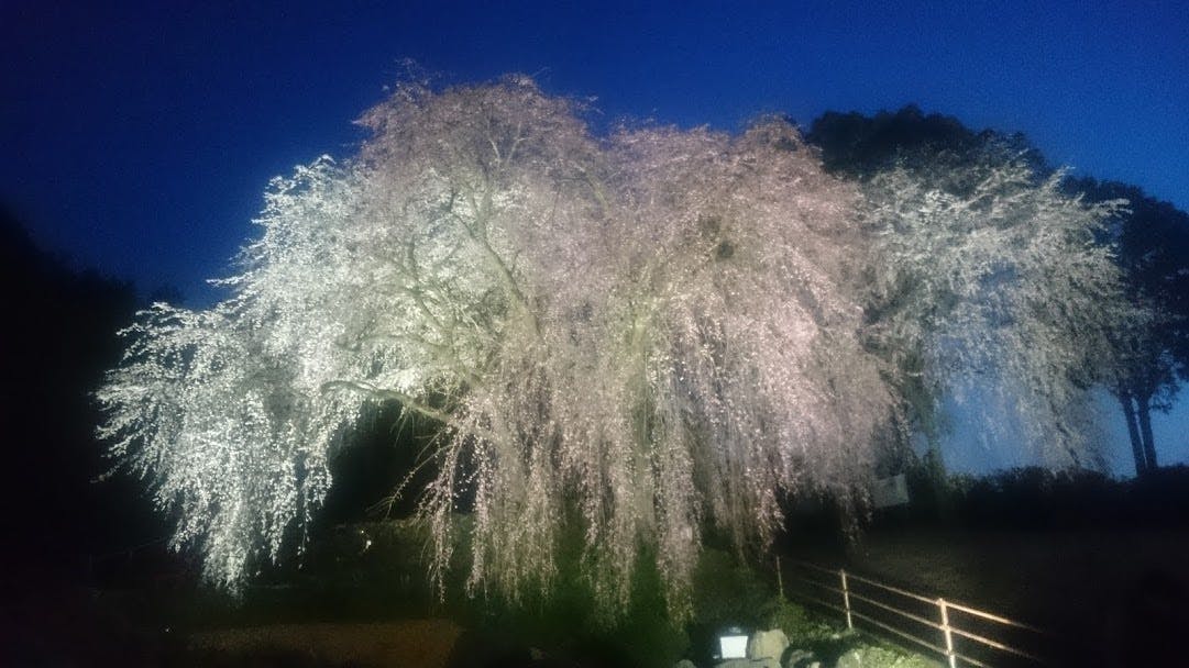 観光会館 土蔵 -