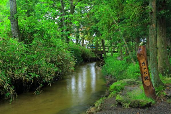 遠野物語』をめぐる伝承園・カッパ淵コース遠野時間遠野市観光情報サイト