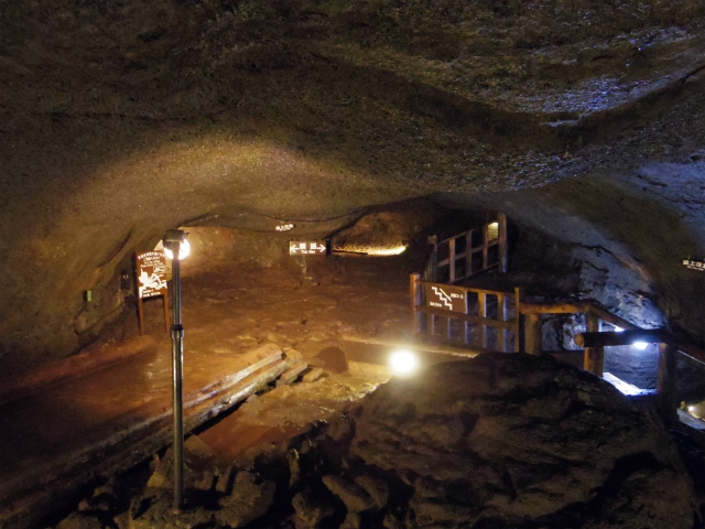 山梨 最大規模・探索隊の気分になれる西湖ネイチャーセンター『西湖コウモリ穴』今這いあがる