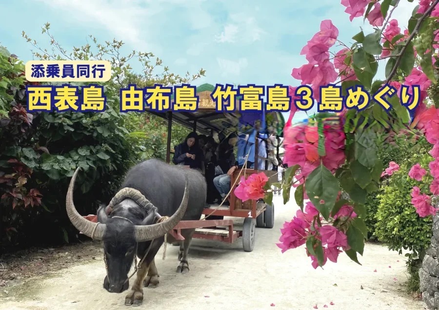 石垣島＆竹富島 幻の島上陸&シュノーケリング 沖縄Klook