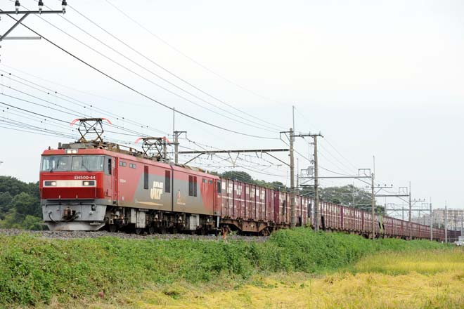 関東遠征3、寝台車3連続撮影～ヒガハスにて_14 08 23 -