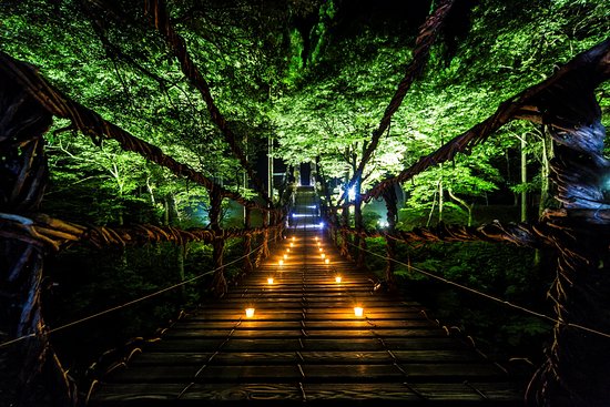 恋愛パワースポットだと！？福井県「かずら橋」にボッチで行ってきた！ Power Tripシャツ装着–