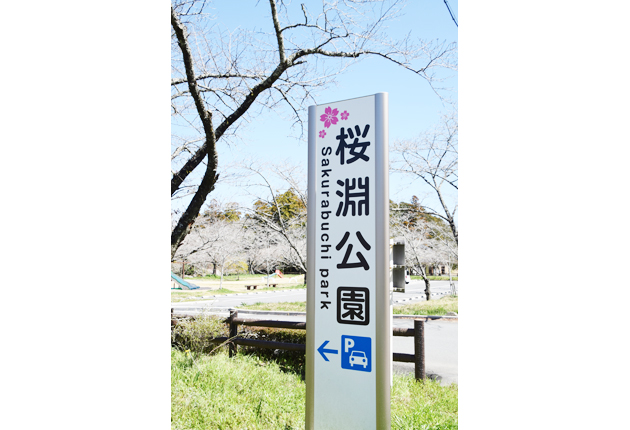 リベンジ散歩 桜淵公園晴れ、ときどきワンコ達。2nd