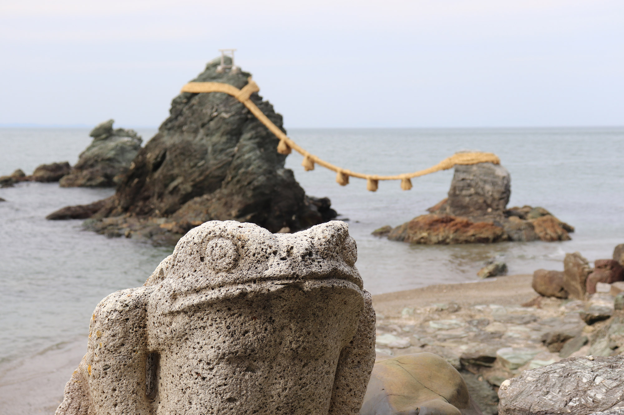 太江寺さんからまる天さんへmieのブログ