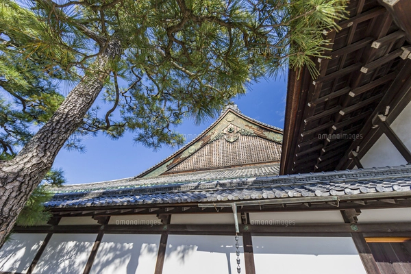 二の丸御殿二条城のガイド - 攻城団