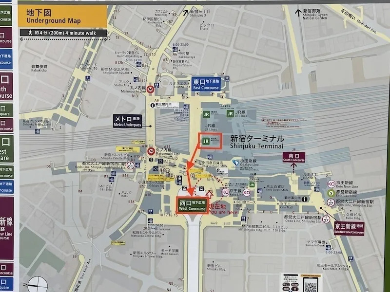 新宿・思い出横丁 今さら聞けない！名店8選教えます！aumo アウモ