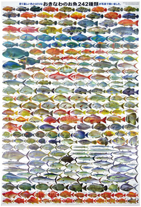 ポスターのお仕事デザインマッチ