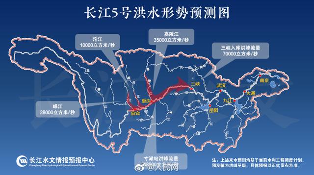 長江 ナガエ とは何？ わかりやすく解説