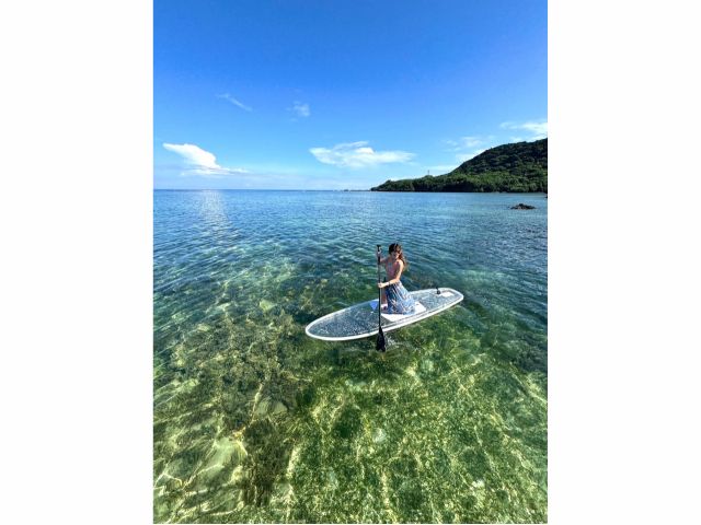 石垣島のクリアSUP クリアサップ 体験・ツアーのアクティビティ・遊び・体験・レジャーの格安予約アクティビティジャパン日帰り旅行