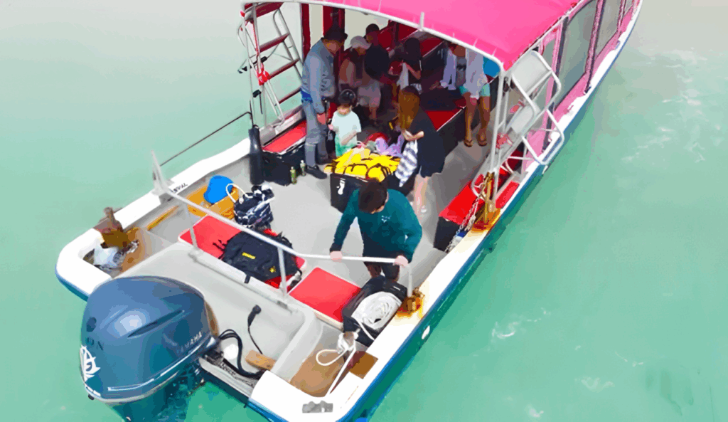 石垣島幻の島上陸ツアー半日 約2時間泳がなくても参加OK！シュノーケルも楽しめます！竹富島・西表島観光 組み合わせ可能！0歳～参加可！※最小催行人数2名沖縄の離島観光専門サイト「しまたび」