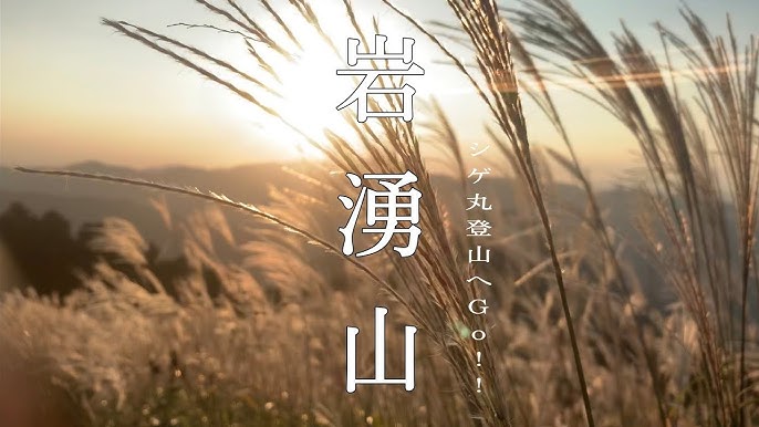 関西で唯一のSL列車！限定日に走る「SL北びわこ号」で行くローカル列車の旅ウォーカープラス