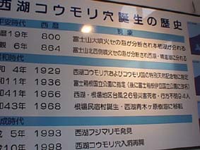 西湖コウモリ穴 さいこ子どもと楽しむ洞窟・鍾乳洞