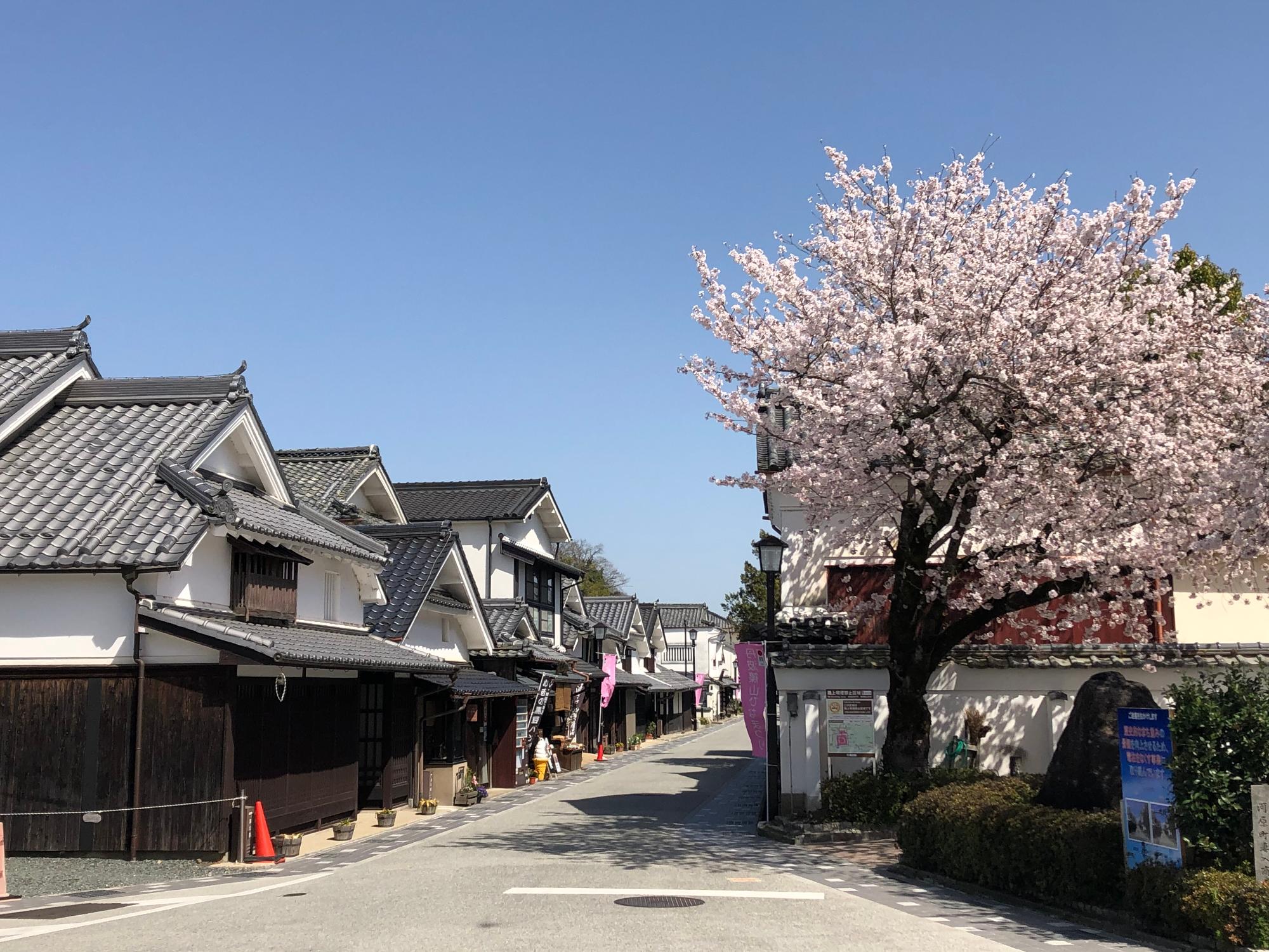 篠山 河原町妻入商家群 25488030194