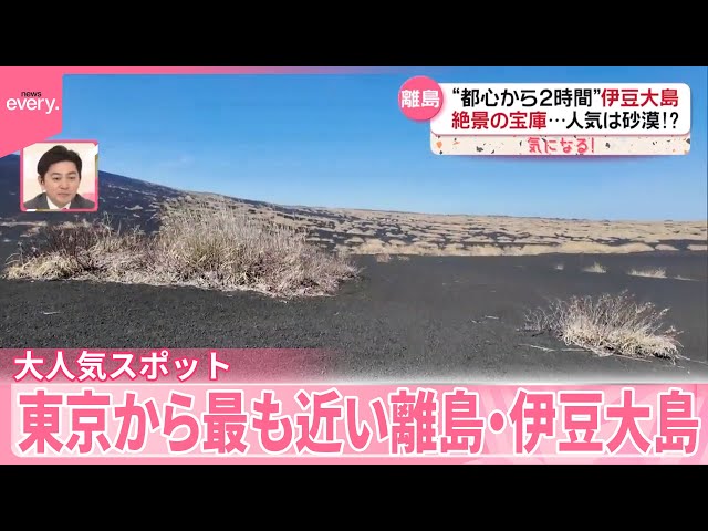 東京都！？魅惑の大自然を歩く！〜伊豆大島 三原山〜 No.1