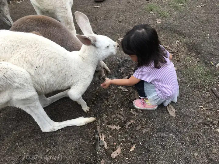 子連れアジア旅行 成功のポイント子連れ海外旅行”旅育”のすすめたびえもん 夢をかなえる自由な旅づくり～あなただけの素敵な旅をご提案します