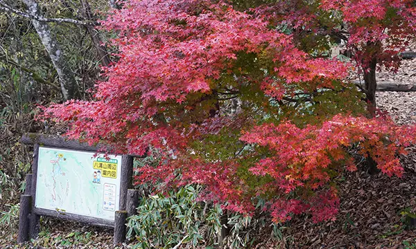 大子町の紅葉名所・もみじ寺等おすすめ紅葉スポット:茨城VRツア
