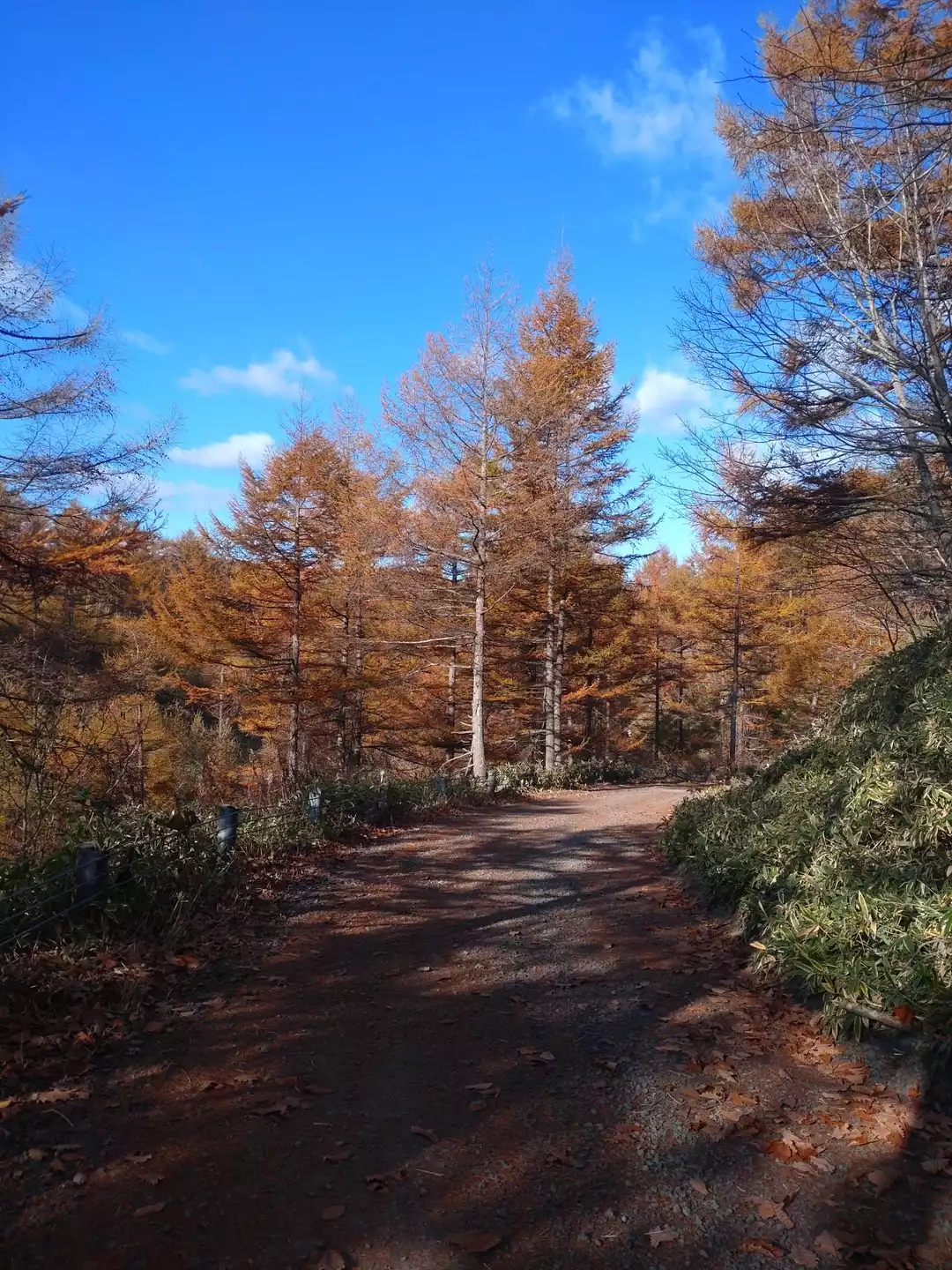 車がなくてもOK！釧路駅から電車・バスで巡る釧路周辺の観光スポットを詳しく紹介
