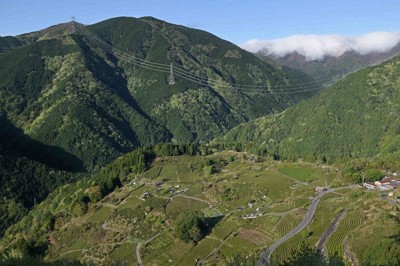 kzm*さんの投稿 岐阜のマチュピチュことりっぷ