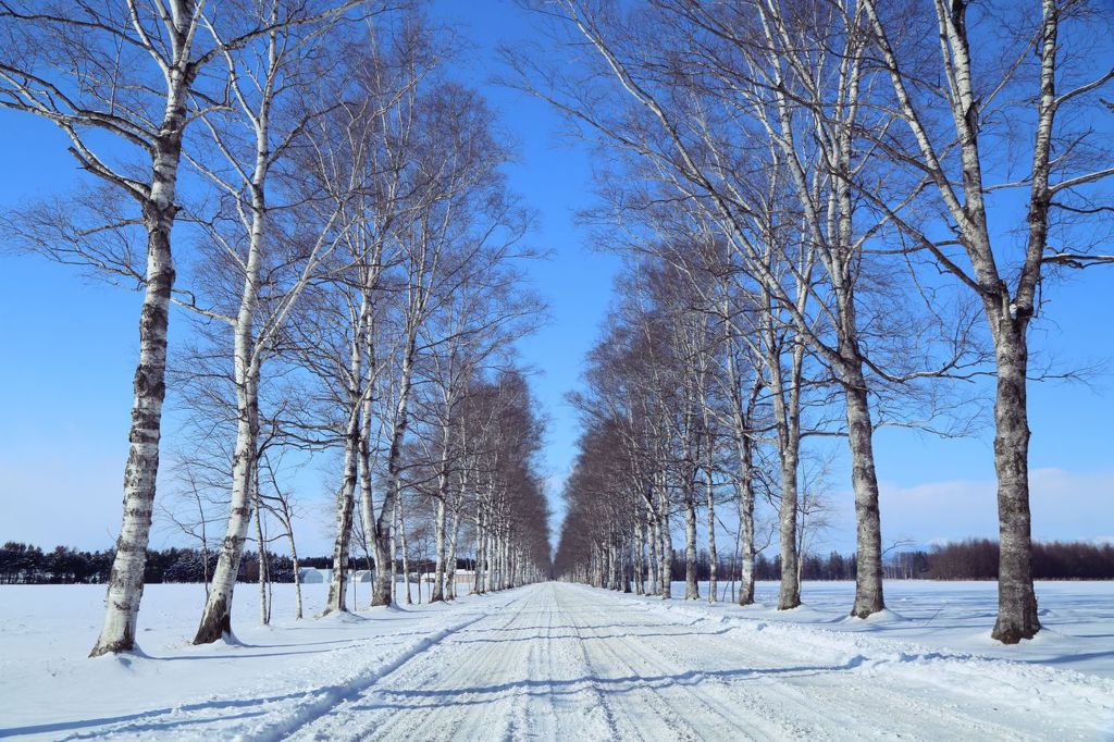 北海道・道東 女子旅。冬におすすめのアクティビティ&可愛いおみやげ図鑑キナリノ