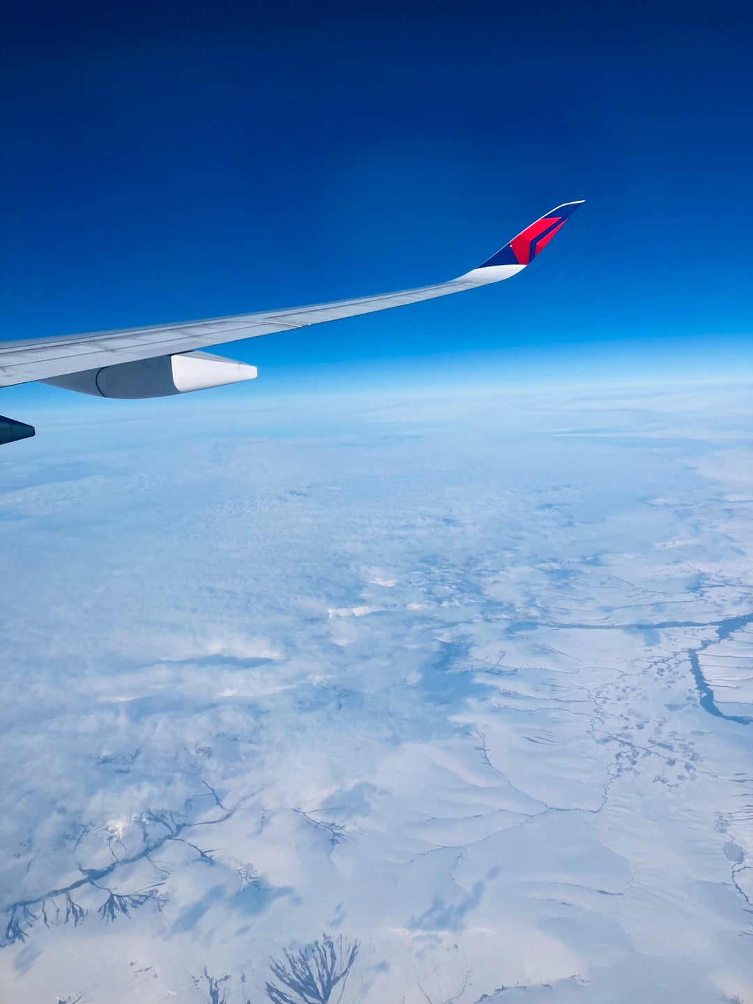 一時帰国ブログ１７ フライト欠航・ -