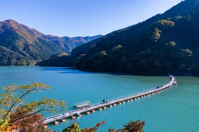 📍東京都西多摩郡奥多摩町麦山の浮橋 「ドラム缶橋」の名で知られている、奥多摩湖にかかる浮き橋です。もともとはダム建設時に向こう岸へ渡るために作られたのだそう💡当時は本当にドラム缶が使われていました。現在はポリエチレン・発砲スチロールで作られていて安全