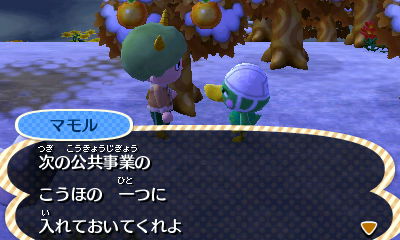 公共事業：ひしがたの標識完成。: ゲームニッキ ～とびだせ どうぶつの森～