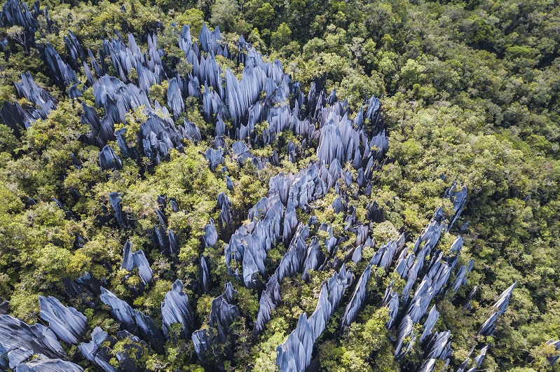 マレーシアはグヌン・ムル国立公園の洞窟訪問記青木崇行 Soko Aoki