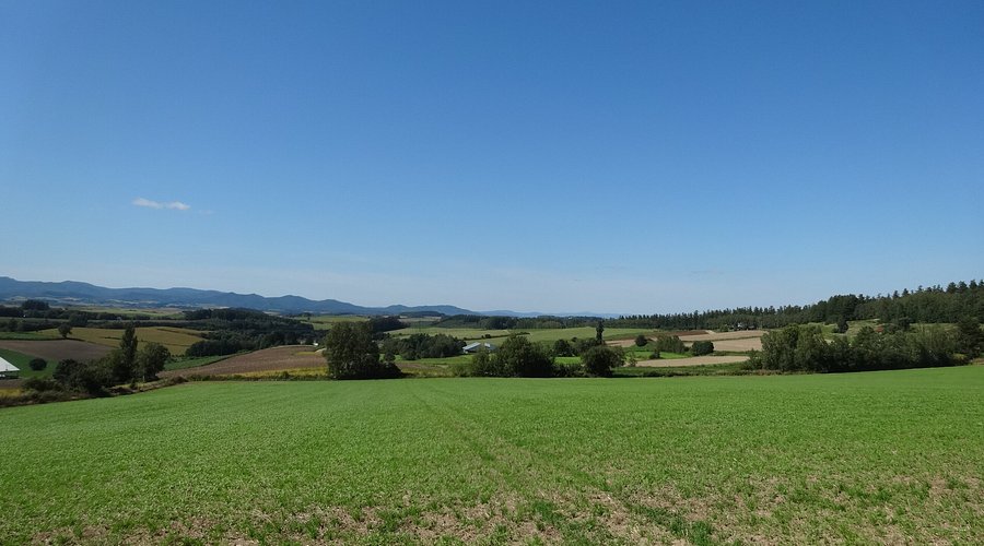 2025年 三愛の丘展望公園 - 出発前に知っておくべきことすべて -