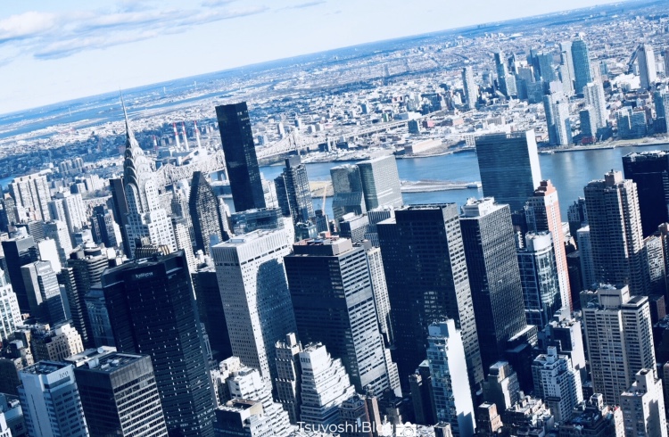 東京都」「ニューヨーク」「ロンドン」の中で一番人口が多い都市はどこ？ 正解率は約5割だった LIMO- Yahoo!ニュース