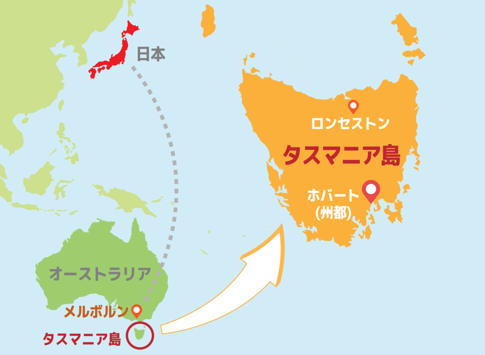 オーストラリアの魅惑！タスマニア島に生息するタスマニアデビルとは！？, みんなはどれくらいタスマニアデビルについて知っていましたか？😘,＃オーストラリア留学 , ＃海外留学