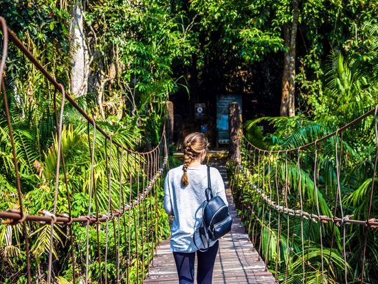 カオヤイ国立公園 1日ツアー バンコク発Klook