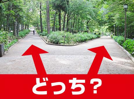 443 分かれ道 High Res Illustrations