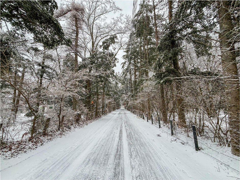 寒いけど行くべき！冬の軽井沢おすすめ観光スポットプレシャスタイム＋
