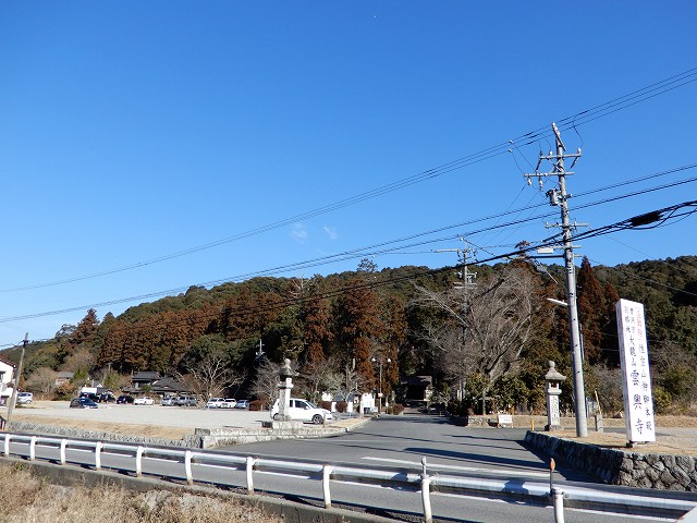 猿投山プチ縦走。ナツツバキとバイカツツジに会いに。mirokuさんの猿投山・物見山の活動データYAMAPヤマップ