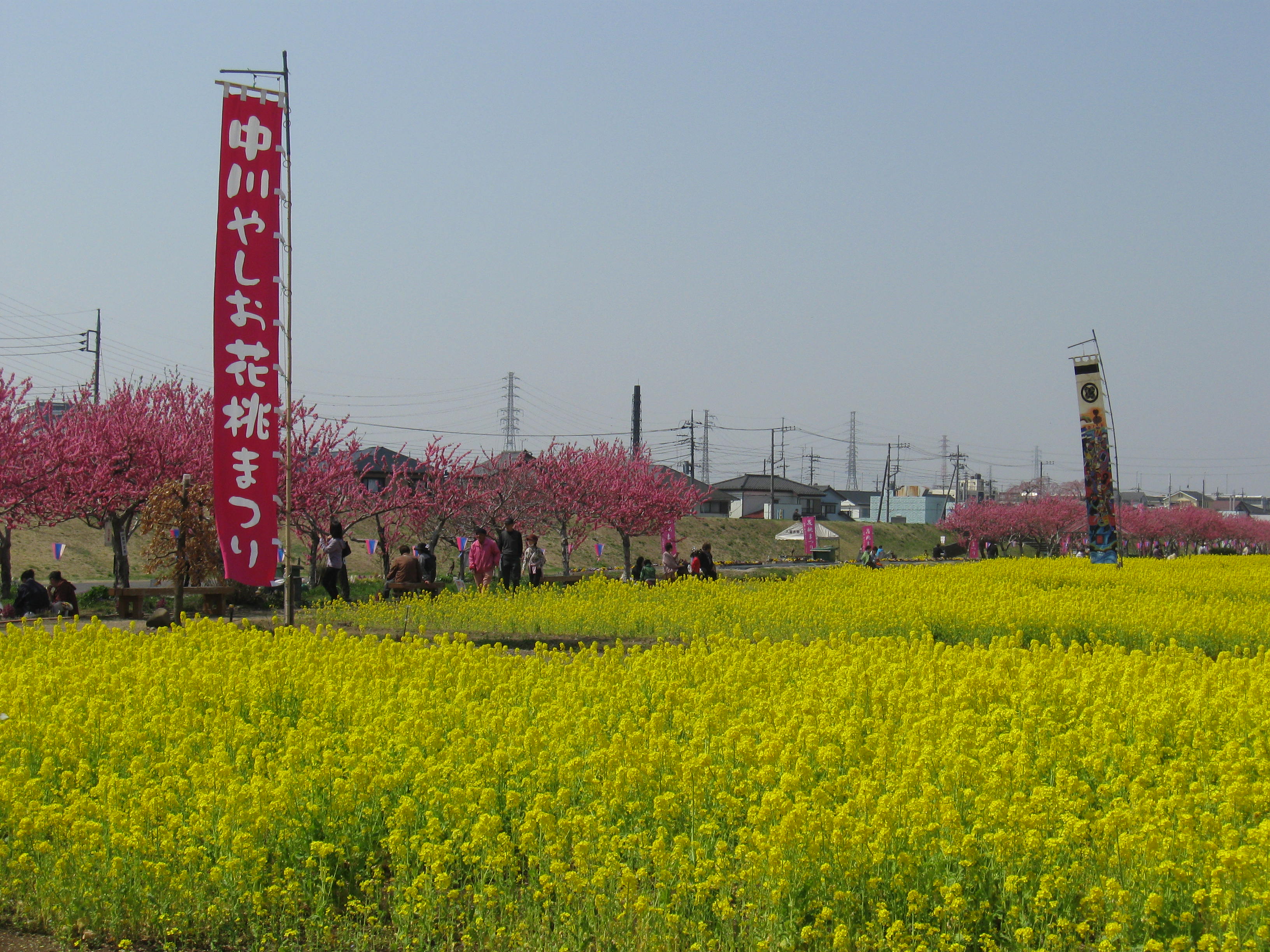 中川八潮フラワーパーク 釣りTikTok